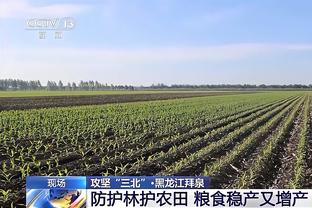 半岛游戏官网攻略苹果版截图4